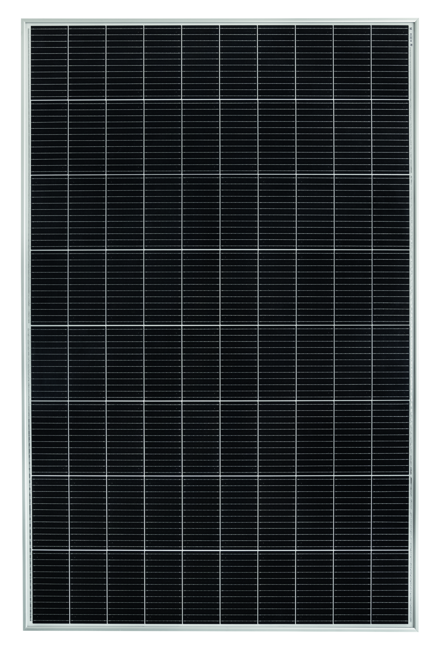 NeMo® 4.2 80 M 385 AR (B)